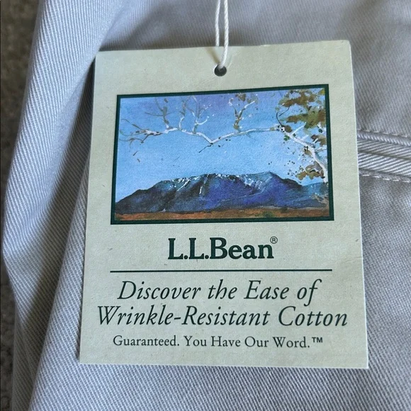 🔥🆕🔥L.L. Bean Men's Wrinkle-Free Chinos, Natural Fit, Hidden Pleated - Picture 2 of 9